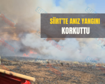 Siirt’te Anız Yangını Korkuttu