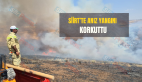 Siirt’te Anız Yangını Korkuttu