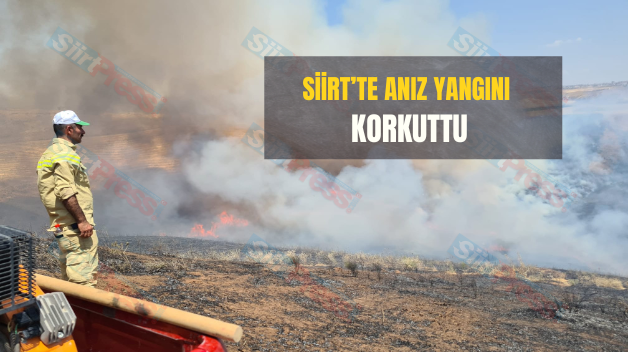 Siirt’te Anız Yangını Korkuttu