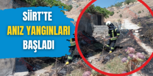 Siirt’te Anız Yangınları Başladı
