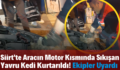 Siirt’te Aracın Motor Kısmında Sıkışan Yavru Kedi Kurtarıldı! Ekipler Uyardı