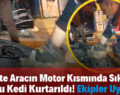 Siirt’te Aracın Motor Kısmında Sıkışan Yavru Kedi Kurtarıldı! Ekipler Uyardı