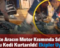 Siirt’te Aracın Motor Kısmında Sıkışan Yavru Kedi Kurtarıldı! Ekipler Uyardı