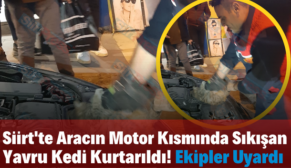 Siirt’te Aracın Motor Kısmında Sıkışan Yavru Kedi Kurtarıldı! Ekipler Uyardı