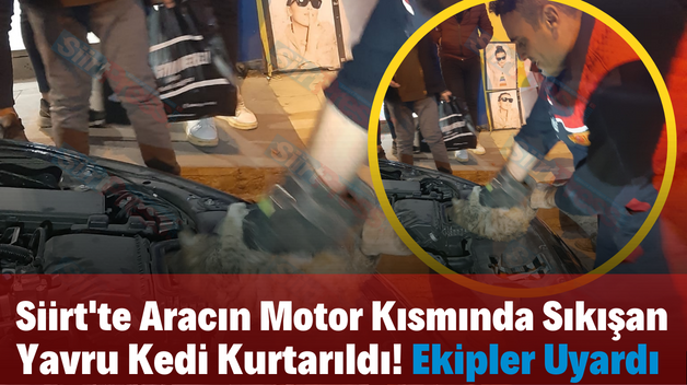 Siirt’te Aracın Motor Kısmında Sıkışan Yavru Kedi Kurtarıldı! Ekipler Uyardı