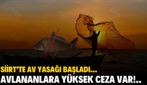 SİİRT’TE AV YASAĞI BAŞLADI… AVLANANLARA YÜKSEK CEZA VAR!..