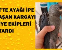 SİİRT’TE AYAĞI İPE DOLAŞAN KARGAYI İTFAİYE EKİPLERİ KURTARDI