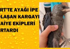 SİİRT’TE AYAĞI İPE DOLAŞAN KARGAYI İTFAİYE EKİPLERİ KURTARDI