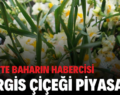 SİİRT’TE BAHARIN HABERCİSİ NERGİS ÇİÇEĞİ PİYASADA