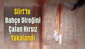 Siirt’te Bahçe Direğini Çalan Hırsız Yakalandı