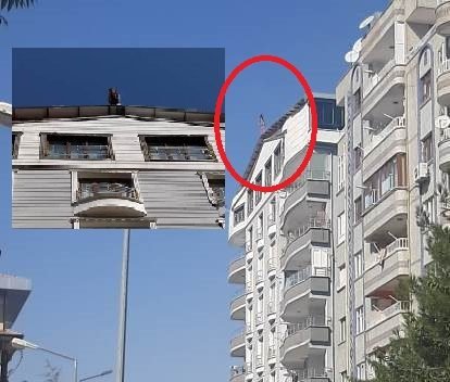 Siirt’te 8 katlı binanın çatısında intihar girişiminde bulunan genç kız,