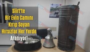 Siirt’te Bir Evin Camını Kırıp Soyan Hırsızlar Her Yerde Aranıyor!