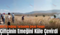 Siirt’te Buğday Tarlasında Çıkan Yangın Çiftçinin Emeğini Küle Çevirdi