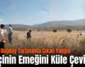 Siirt’te Buğday Tarlasında Çıkan Yangın Çiftçinin Emeğini Küle Çevirdi