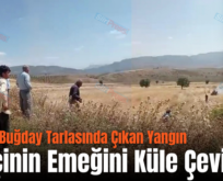 Siirt’te Buğday Tarlasında Çıkan Yangın Çiftçinin Emeğini Küle Çevirdi