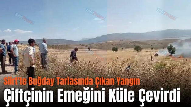 Siirt’te Buğday Tarlasında Çıkan Yangın Çiftçinin Emeğini Küle Çevirdi