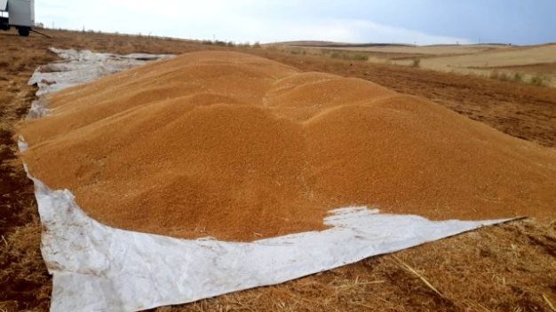 Siirt’in Tillo ilçesine bağlı Hatrant köyü ile kent merkezine bağlı