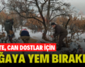 SİİRT’TE, CAN DOSTLAR İÇİN DOĞAYA YEM BIRAKILDI