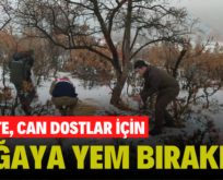 SİİRT’TE, CAN DOSTLAR İÇİN DOĞAYA YEM BIRAKILDI