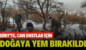 SİİRT’TE, CAN DOSTLAR İÇİN DOĞAYA YEM BIRAKILDI