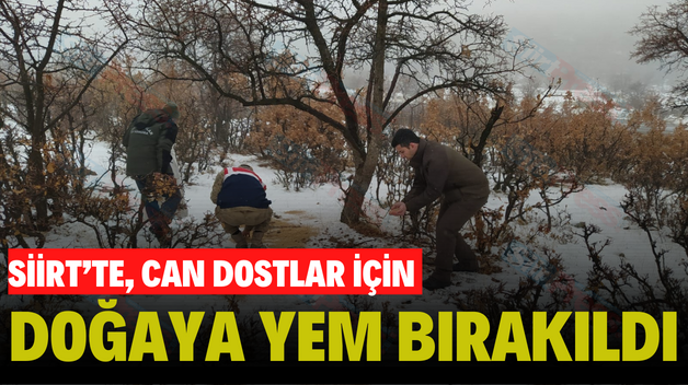 SİİRT’TE, CAN DOSTLAR İÇİN DOĞAYA YEM BIRAKILDI