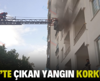 SİİRT’TE ÇIKAN YANGIN KORKUTTU