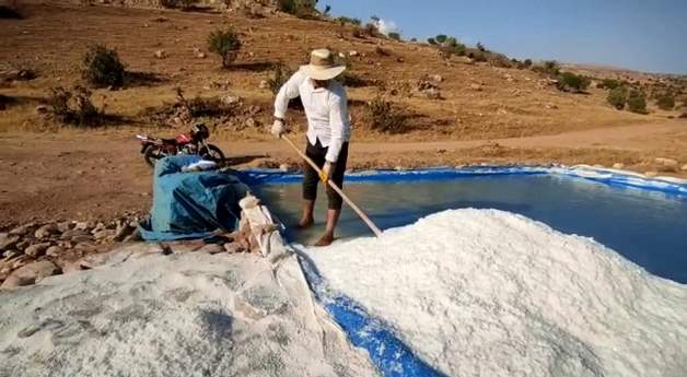 DEDEDEN KALMA ‘TUZCULUK’ MESLEĞİ ONLARIN TEK GEÇİM KAYNAĞI!