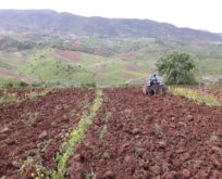 SİİRT’TE DEVLET DESTEK VERDİ, ÇİFTÇİLER BAĞ VE BAHÇELERE İNDİ