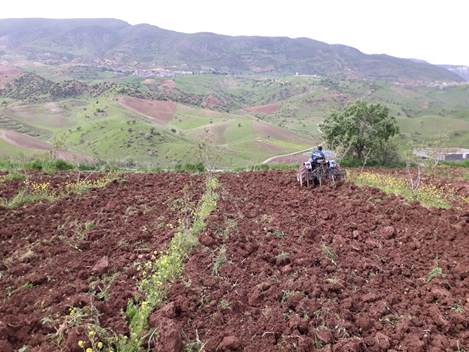 SİİRT’TE DEVLET DESTEK VERDİ, ÇİFTÇİLER BAĞ VE BAHÇELERE İNDİ