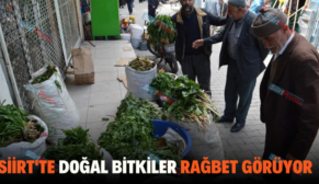 SİİRT’TE DOĞAL BİTKİLER RAĞBET GÖRÜYOR