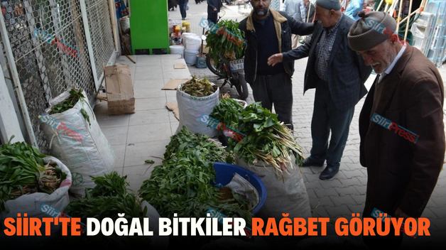 SİİRT’TE DOĞAL BİTKİLER RAĞBET GÖRÜYOR