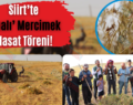 Siirt’te ‘Dualı’ Mercimek Hasat Töreni!