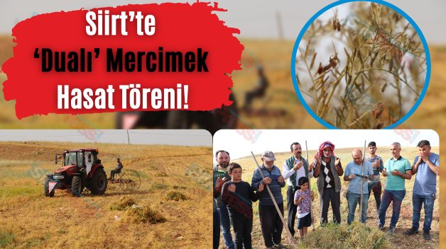 Siirt’te ‘Dualı’ Mercimek Hasat Töreni!