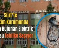 Siirt’te Eğitim Kurumunda Açıkta Bulunan Elektrik Kablosu Tehlike Saçıyor