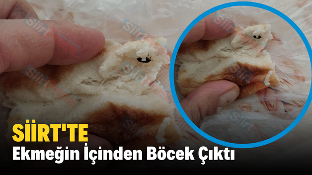 Siirt’te Ekmeğin İçinden Böcek Çıktı