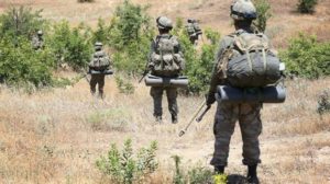 Siirt’in Eruh ilçe kırsalında düzenlenen operasyonda, etkisiz hale getirilen 2