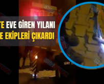 Siirt’te Eve Giren Yılanı İtfaiye Ekipleri Çıkardı