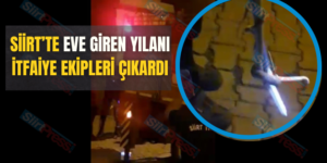 Siirt’te Eve Giren Yılanı İtfaiye Ekipleri Çıkardı