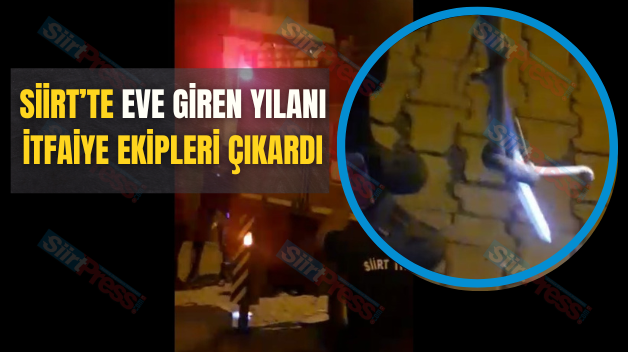 Siirt’te Eve Giren Yılanı İtfaiye Ekipleri Çıkardı