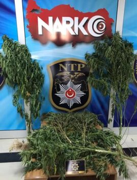 Siirt Emniyet Müdürlüğü Narkotik Suçlarla Mücadele Şube Müdürlüğü ekiplerince yapılan
