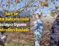 Siirt’te Fıstık Bahçelerinde Tozlayıcı Uyumu Kontrolleri Başladı