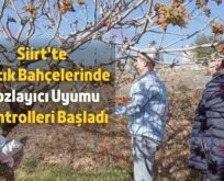 Siirt’te Fıstık Bahçelerinde Tozlayıcı Uyumu Kontrolleri Başladı