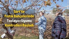 Siirt’te Fıstık Bahçelerinde Tozlayıcı Uyumu Kontrolleri Başladı