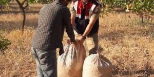 SİİRT’TE FISTIK HIRSIZLARINA SUÇÜSTÜ!..