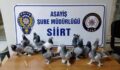 SİİRT’TE GÜVERCİN HIRSIZLIĞI YAPAN BİR KİŞİ GÖZALTINA ALINDI