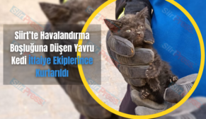 Siirt’te Havalandırma Boşluğuna Düşen Yavru Kedi İtfaiye Ekiplerince Kurtarıldı