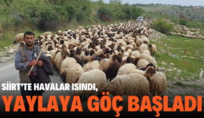 SİİRT’TE HAVALAR ISINDI, YAYLAYA GÖÇ BAŞLADI