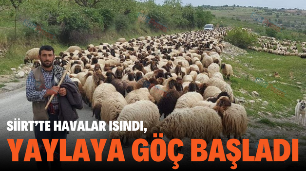 SİİRT’TE HAVALAR ISINDI, YAYLAYA GÖÇ BAŞLADI