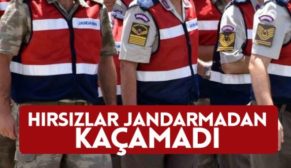 HIRSIZLAR JANDARMA’DAN KAÇAMADI