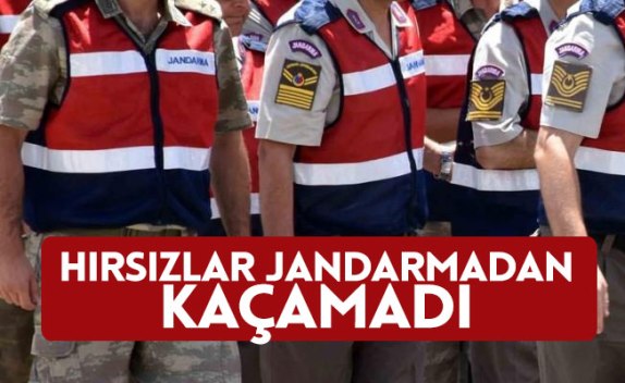 HIRSIZLAR JANDARMA’DAN KAÇAMADI